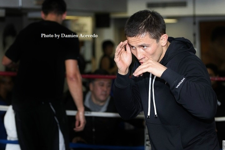 golovkinrosado10.jpg