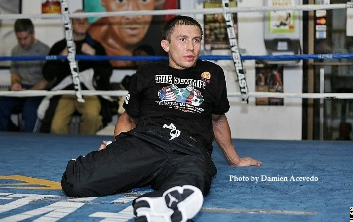 golovkinrosado15.jpg