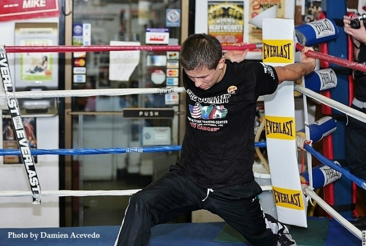 golovkinrosado16.jpg