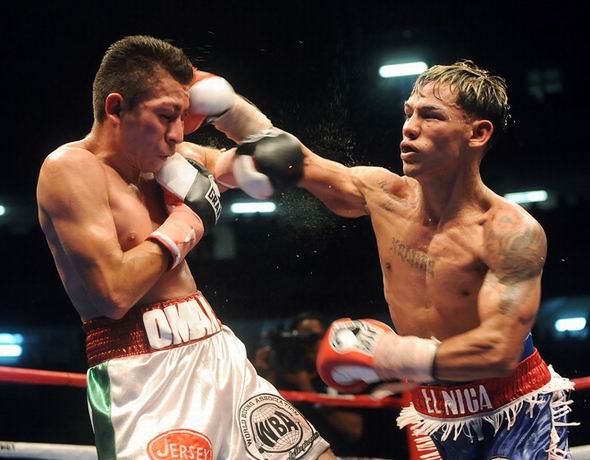 box-wba-pan-mex.jpg