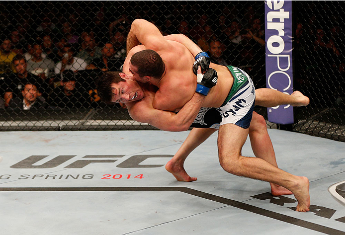 FS11_13Shogun_Sonnen_05.jpg