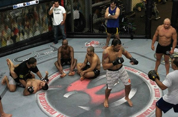 nogueira_126113070060080c.jpg