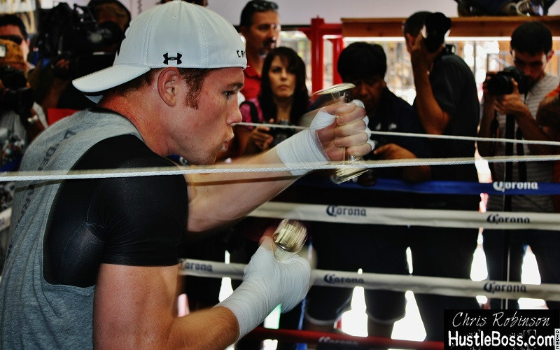 saulcaneloalvarez18.JPG