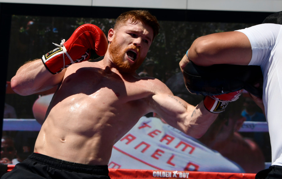 Поединку 15. Canelo promoter.