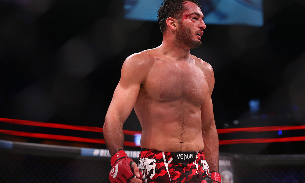 Gegard Mousasi MMA