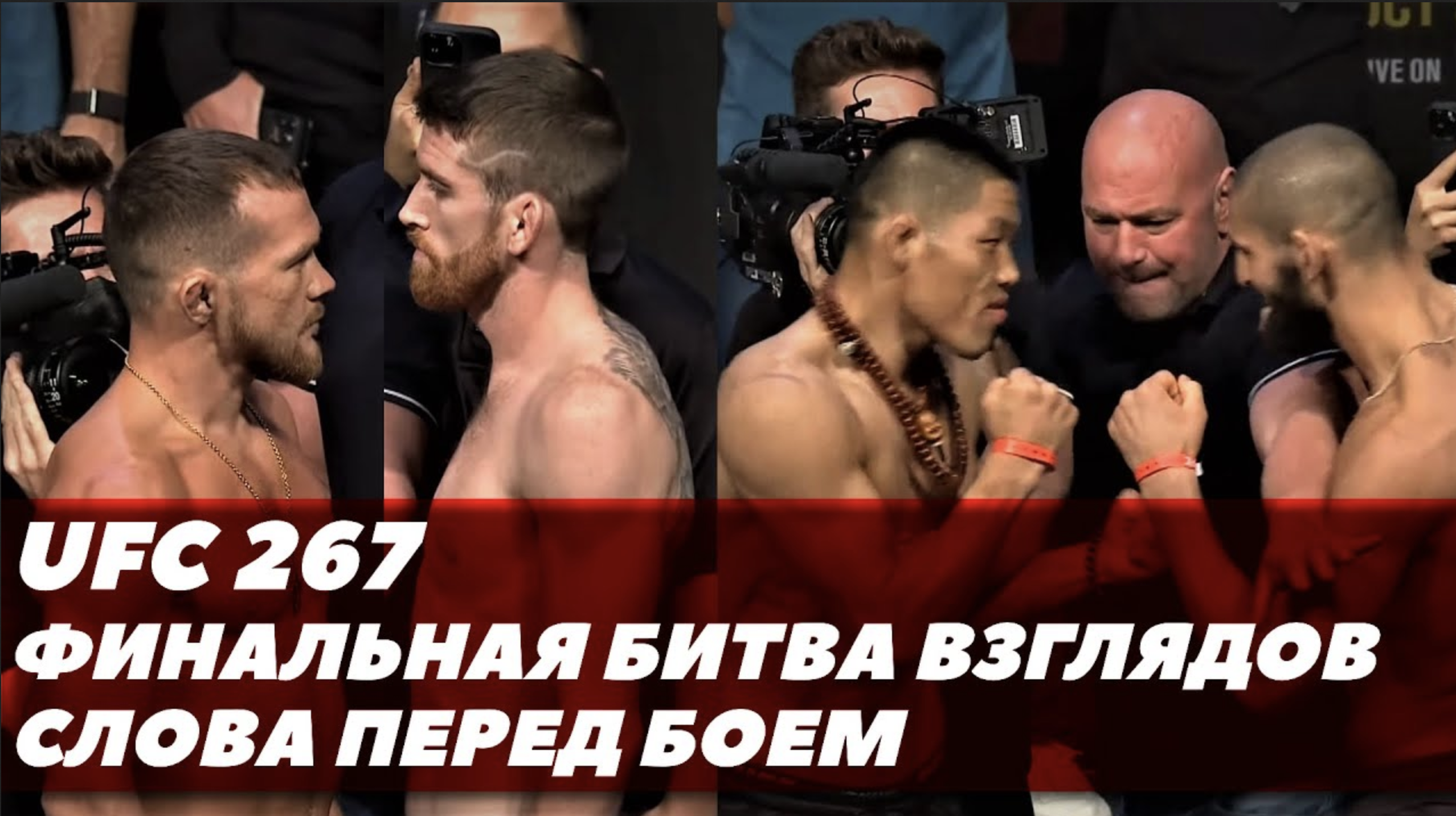 Хамзат Чимаев битва взглядов. Битва взглядов UFC. UFC 267 Постер.