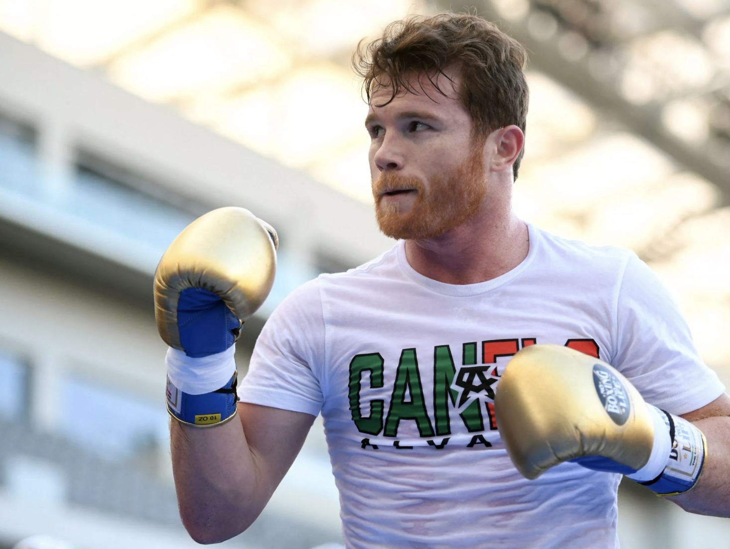 Сауль канело. Сауль Альварес. Saul Canelo Alvarez. Мексиканский боксер Сауль Альварес. Сауль Альварес фото.