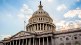 В Сенат США внесли законопроект о реформе профессионального бокса по образцу UFC