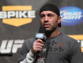 Джо Роган призвал к изменению правил UFC: Они созданы для ударников