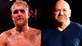 Джейк Пол: UFC умирает, потому что лучшими бойцами становятся борцы