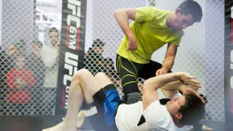 Фото: Открытая тренировка перед UFC Fight Night 81