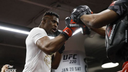 Фото: Открытая тренировка перед UFC 220