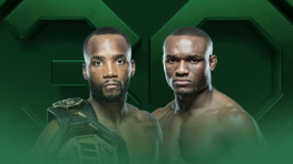 Список участников турнира UFC 286