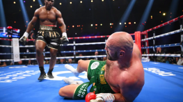 Джо Роган: Нганну победил Фьюри