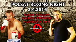 Sportingbet: Томаш Адамек — фаворит в бою с Эриком Молиной