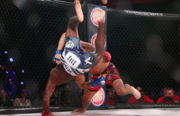 Результаты Bellator 141