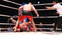 Rizin 1: Прохаска нокаутировал Фуджиту, Немков проиграл Альбректссону