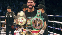 WBC о возможном поединке Хорхе Линареса и Деяна Златичанина