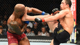 Блог: Обзор UFC 225