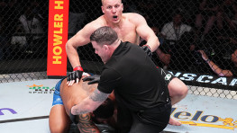 Иван Штырков: Павловичу придется провести еще один бой перед титульным