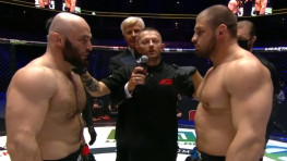 Обзор боя Исмаилов-Штырков (видео)