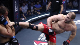 Иван Штырков нокаутировал Фабио Мальдонадо во 2 раунде (+видео)