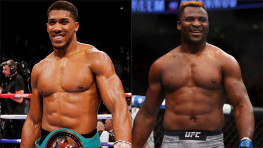 Джо Роган о Джошуа и Нганну (видео)