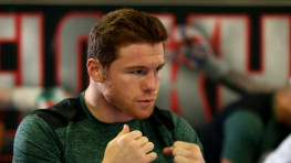 WBC и WBO готовы санкционировать бой Канело за титул в 154 фунтах