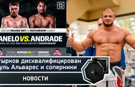 Штырков дисквалифицирован, Альварес и соперники, UFC и бокс