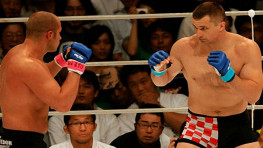 Емельяненко предлагали провести реванш с «Крокопом» по правилам бокса