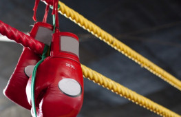 Боксеры из Казахстана, Мексики и Алжира начали с побед в AIBA Pro Boxing