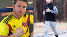 Альвареса не волнуют слова Санчеса, дата возвращения Ломаченко