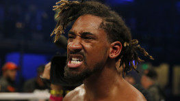 Деметриус Андрейд уходит во второй средний вес