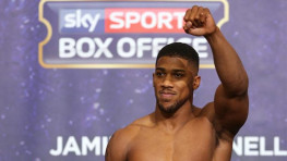 Джошуа: У меня получился бы неплохой бой с Нганну и Джоном Джонсом