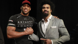 Энтони Джошуа: Думаю, Хэй может встретиться с Бриггсом