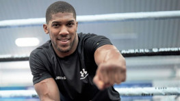 Энтони Джошуа и Александр Усик могут встретиться в ноябре