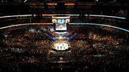 Обнародованы рейтинги предварительных боев UFC 222 и боя Уайлдер-Ортис