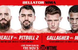 Список участников турнира Bellator 270