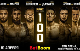 Результаты турнира AMC Fight Nights 100