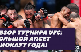 Дикий нокаут и 3 апсета на UFC Vegas | Чикадзе-Барбоза, Кевин Ли, Мурадов (видео)