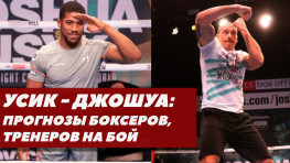 Прогнозы боксеров на бой Усик-Джошуа