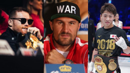 UFC внедряется в бокс, Альварес-Ковалев все еще возможен (видео)