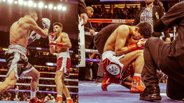 Обзор боев: Красивый нокаут | Новости: Канело, Гассиев, Бетербиев, Бивол (видео)