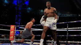 Джошуа-Кличко: Комментарии боксеров по итогам боя