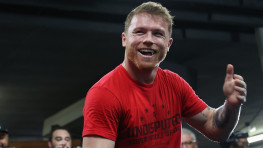 Альваресу предлагают 50 млн за бой против Бенавидеса