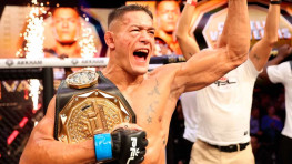 Результаты PFL Мадрид: ван Стенис досрочно победил Эдвардса