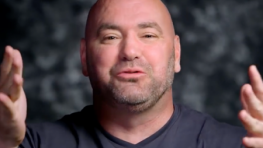 Дана Уайт: Бокс — это бардак, и возможно это не исправить