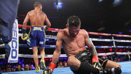 Видео: Обзор боя Ломаченко-Линарес (GPS)