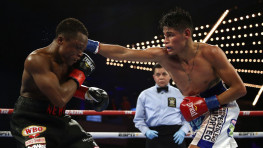 Догбо и Наваррете близки к договоренности о матче-реванше