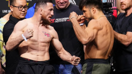 Двалишвили и Сехудо проведут матч-реванш